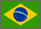Portugues brasileiro